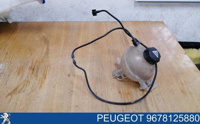 9676650780 Peugeot/Citroen 
