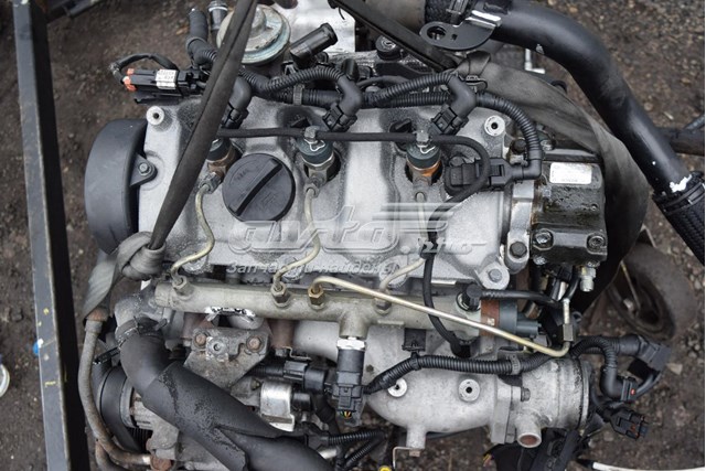 D3EA Hyundai/Kia Мотор в зборі