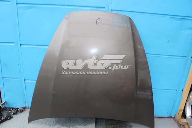 Капот PPH20001A Signeda