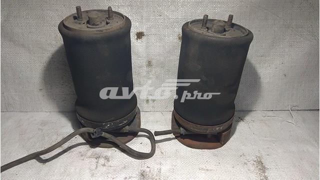 553603M500 Hyundai/Kia Пружина задня, права