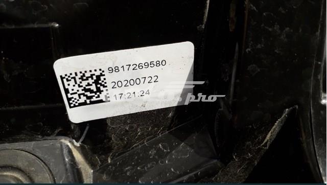  9817269580 Peugeot/Citroen