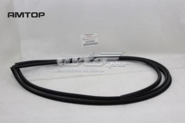 GS4819P110X FPS Рама лобового скла