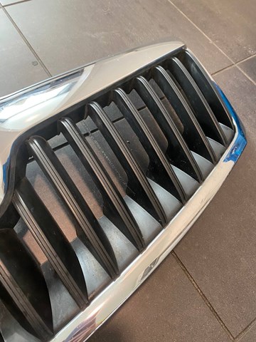 Купити 1Z0853651C VAG Захисна решітка радіатора