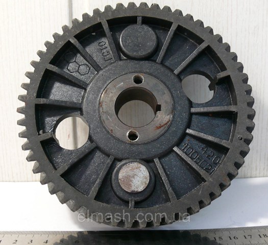 42161006001 DK 