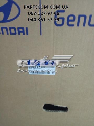 Двері багажника Hyundai/Kia 737002W520