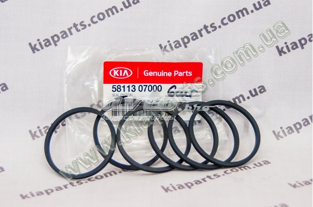 Купити 954301RAB1 Hyundai/Kia 