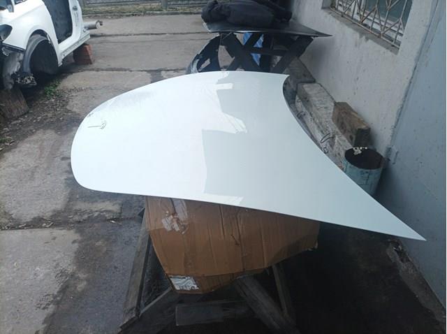 Капот 1081390E0C Teamec