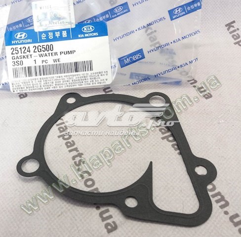 251242G500 KAP Прокладка водяної помпи