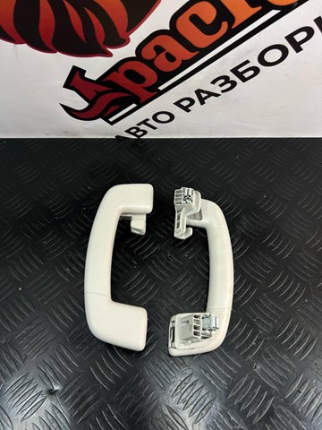Ручка салону, дахи 3G0857643BRM5 VAG