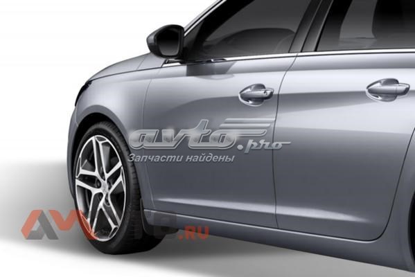 1610092580 Peugeot/Citroen Комплект передніх бризковиків