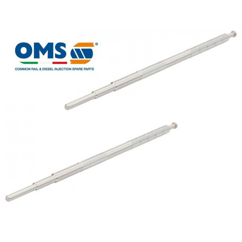 1131003 OMS 