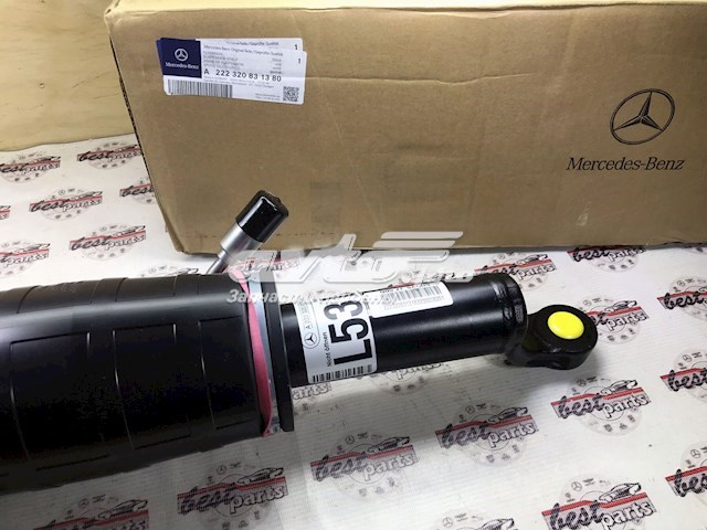A222320831380 Mercedes 