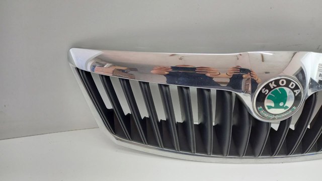 Купити 1Z0853651C VAG Захисна решітка радіатора