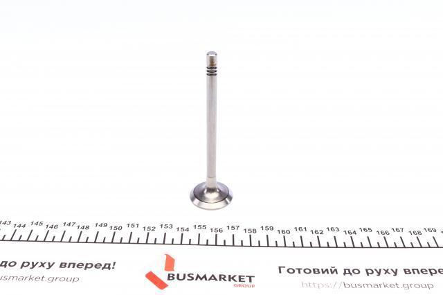  AMP/Paradowscy PAUD073A0N