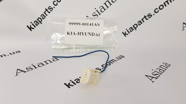  9999900141AS Hyundai/Kia