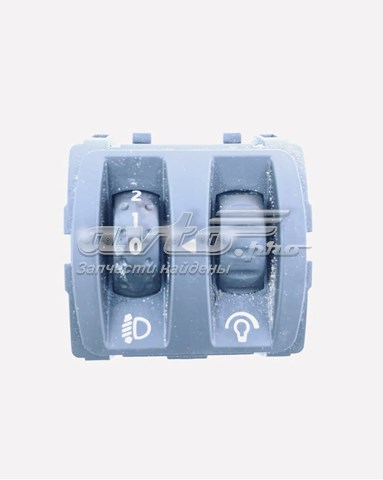  251900007R Renault (RVI)