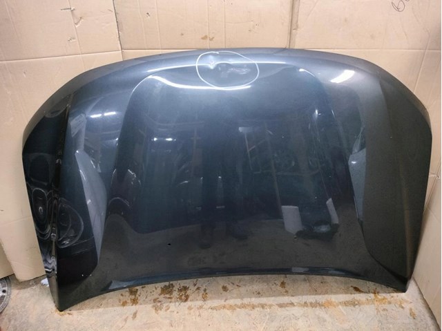 Капот 651008347R Renault (RVI)