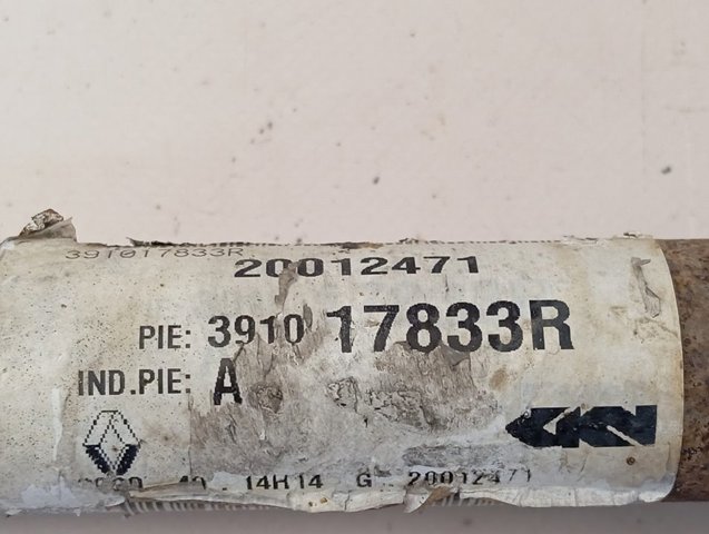  Renault (RVI) 391017833R