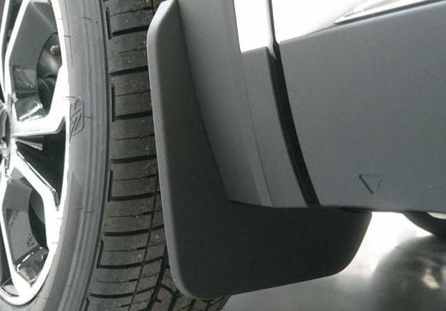 Бризковики передній, лівий Renault (RVI) 638419269R ціна, від 11.83 USD