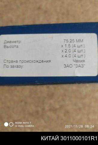  ZAZ 3011000101R1