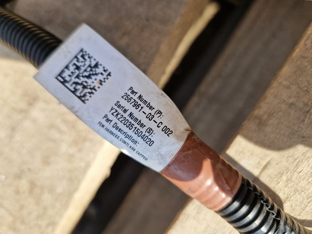  256796103C Tesla