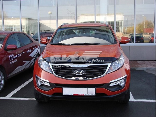 Мухобійка KIA Sportage III