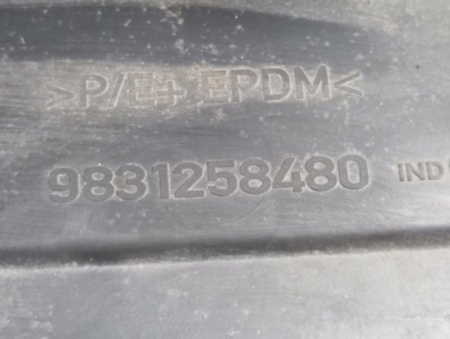 Підкрилки передні праві Peugeot/Citroen 9831258480