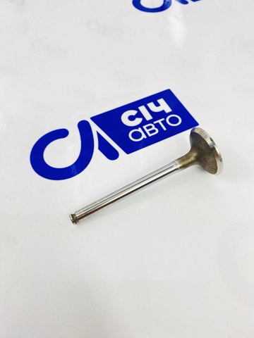 Купити 4193SCR Freccia Клапан впускний