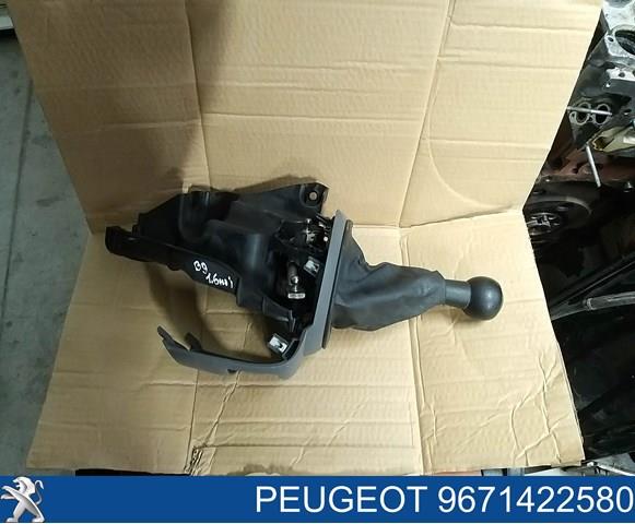 Купити 9671422580 Peugeot/Citroen 