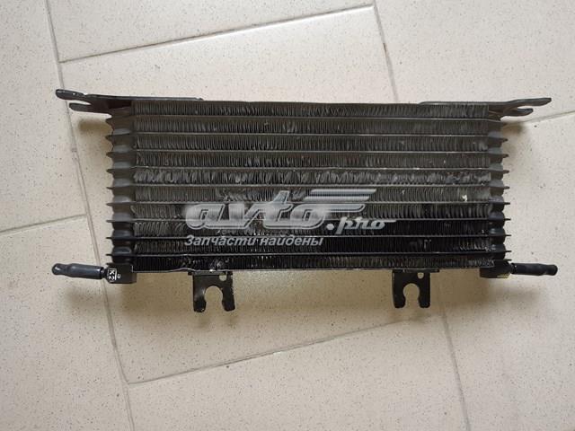 Купити 216064BA5A Nissan/Infiniti Радіатор охолодження, АКПП