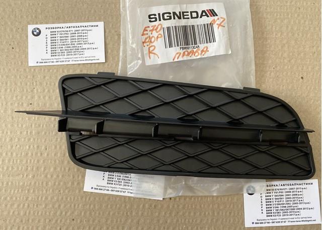 Решітка переднього бампера, права Signeda PBM99113CAR ціна, від 9.80 USD