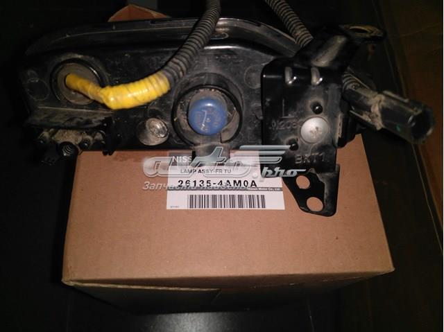  Nissan/Infiniti 261354AM0A