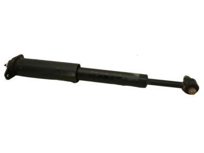 Амортизатор задній 24216951 Bilstein