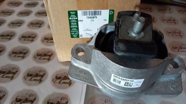  T2H8770 Jaguar