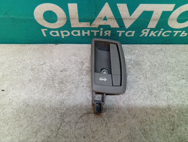 735536905 Fiat/Alfa/Lancia Ручка відкривання капота