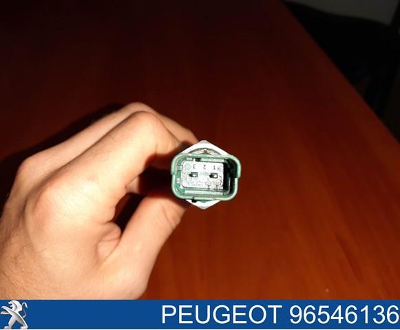 96546136 Peugeot/Citroen 