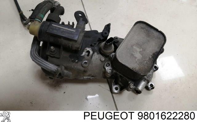 Купити 9801622280 Peugeot/Citroen Корпус масляного фільтра