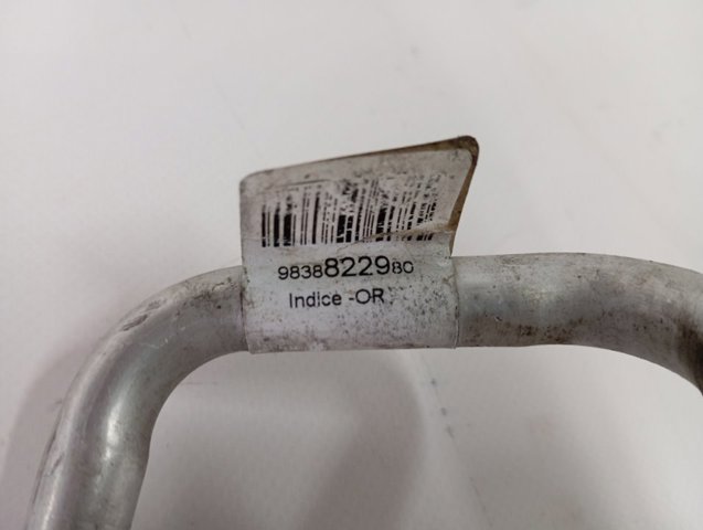 9838822980 Peugeot/Citroen 