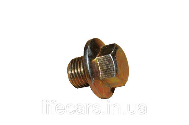 Болт піддона Geely E020400101