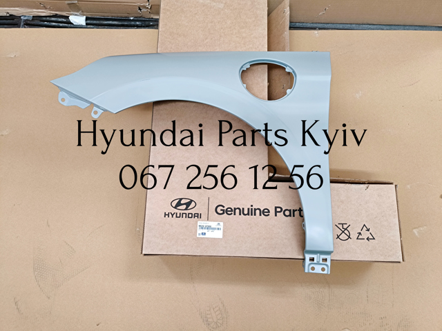 Бічна частина передня ліва Hyundai/Kia 66310G7000