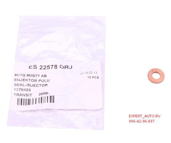 ES22578ORJ DP Group Кільце інжектора