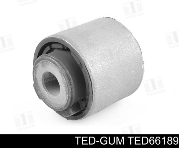  TED66189 Ted-gum