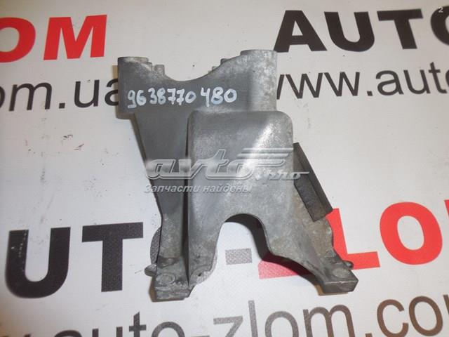  9638770480 Peugeot/Citroen