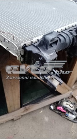 DG938005 Ford Радіатор охолодження двигуна