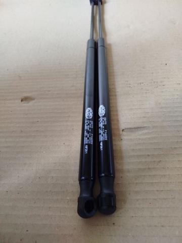 Амортизатор багажника GS0773 Magneti Marelli