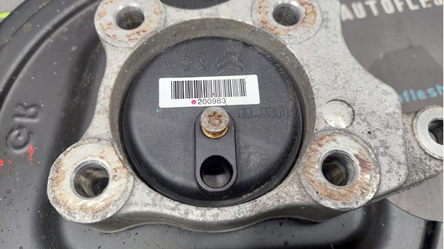 9829267880 Peugeot/Citroen 