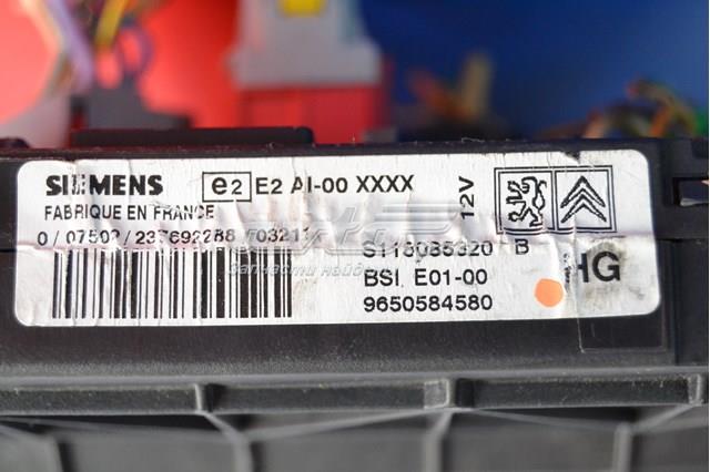 9650584580 Peugeot/Citroen 
