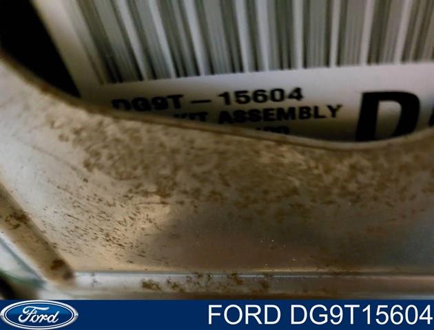 DG9T15604 Ford 