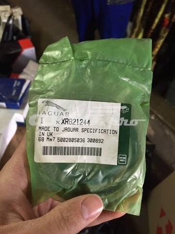 Купити XR821244 Jaguar Сальник хвостовика