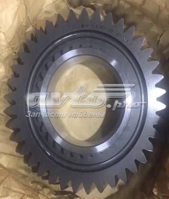  1315304025 ZF Parts